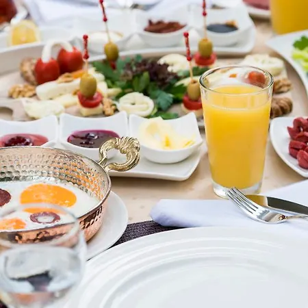 Otto Palace 3* Olympos