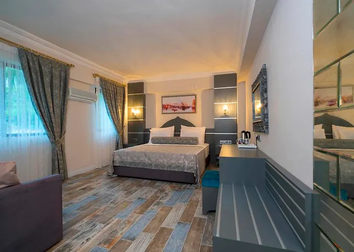 Otto Palace فندق