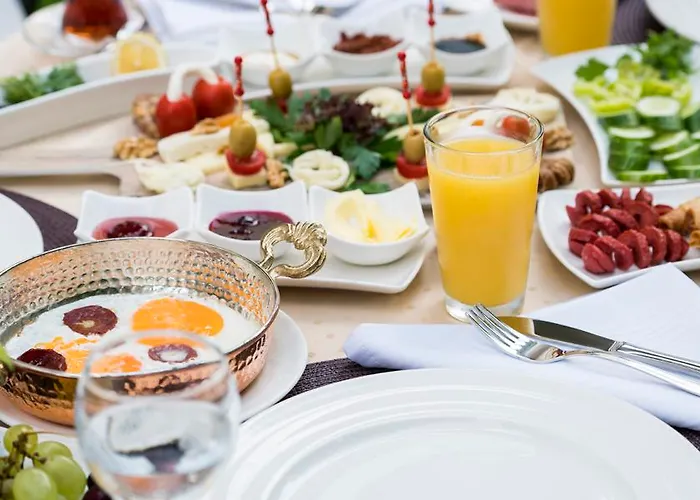 Otto Palace 3* Олимпос