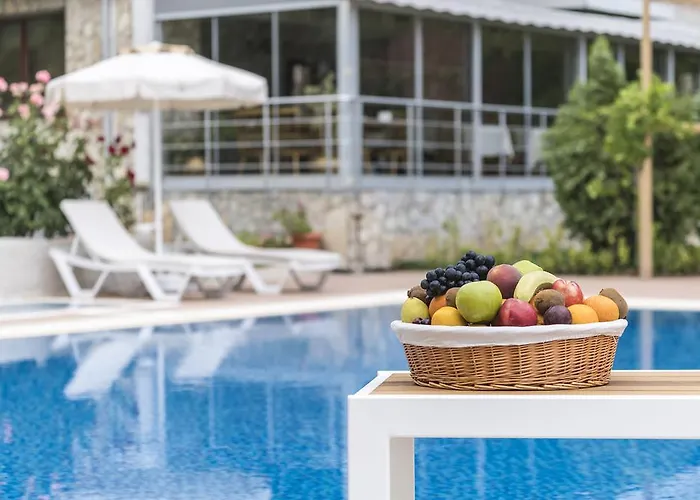 فندق Otto Palace