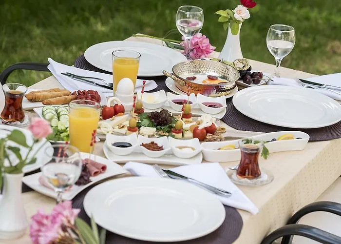 Otto Palace Олимпос