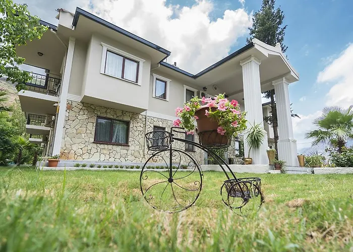 فندق Otto Palace 3*