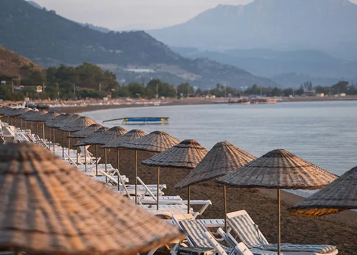 Otto Palace فندق